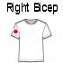 Right Bicep